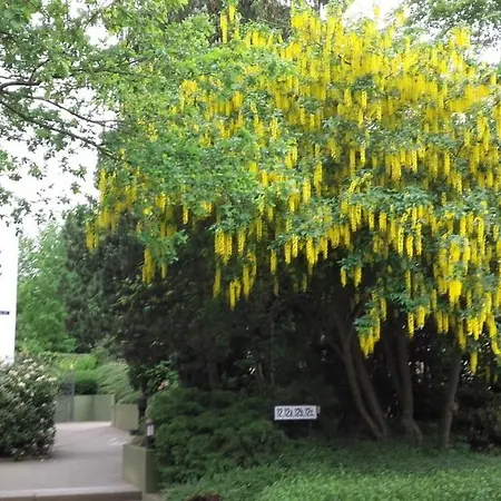 Apartman Parkblick Mit 2 Baedern